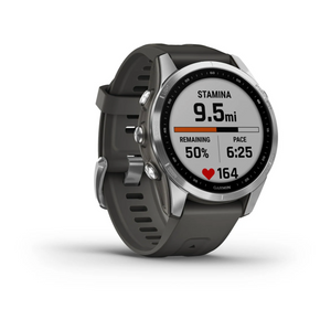 Stainless Steel w/ Graphite Band 42 MM